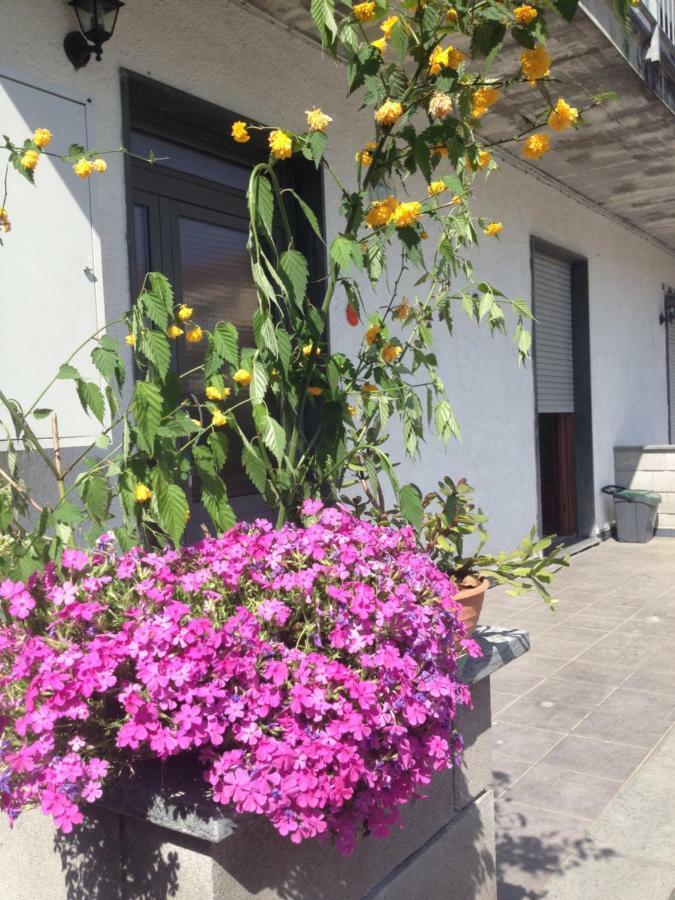 La Magnolia Apartment ริคคอ เดล โกลโฟ ดิ สเปเซีย ภายนอก รูปภาพ