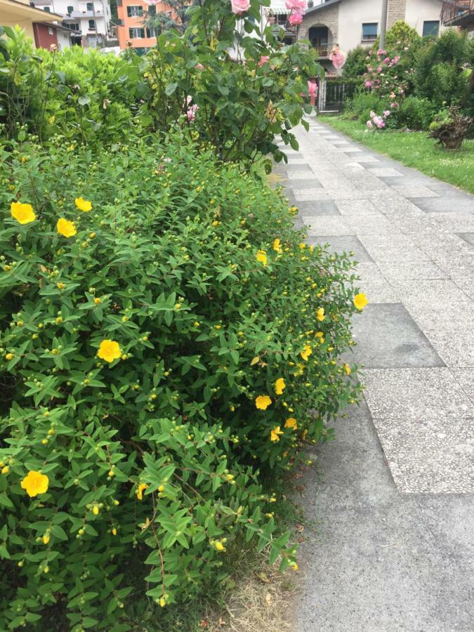 La Magnolia Apartment ริคคอ เดล โกลโฟ ดิ สเปเซีย ภายนอก รูปภาพ