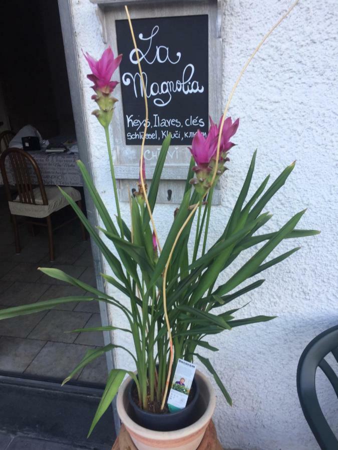 La Magnolia Apartment ริคคอ เดล โกลโฟ ดิ สเปเซีย ภายนอก รูปภาพ